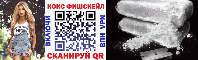 Купить закладки  Гай  COCAIN VHQ 