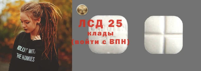 гидропоника Каменногорск