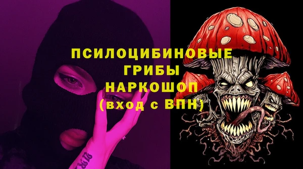 гидропоника Каменногорск