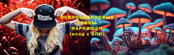 гидропоника Каменногорск